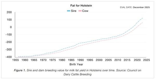 Amino Acids: The Key To Unlocking Genetic Potential - Image 1