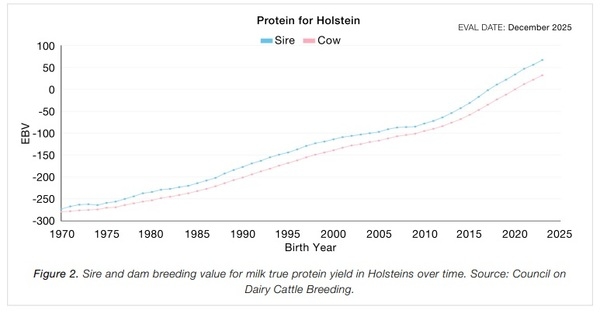 Amino Acids: The Key To Unlocking Genetic Potential - Image 2