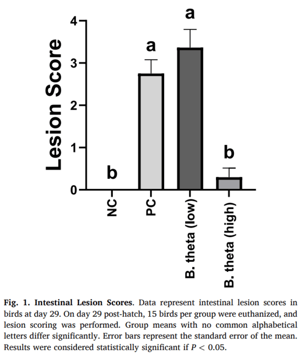 Fig. 1. Intestinal Lesion Scores. Data represent intestinal lesion scores in birds at day 29. On day 29 post-hatch, 15 birds per group were euthanized, and lesion scoring was performed. Group means with no common alphabetical letters differ significantly. Error bars represent the standard er