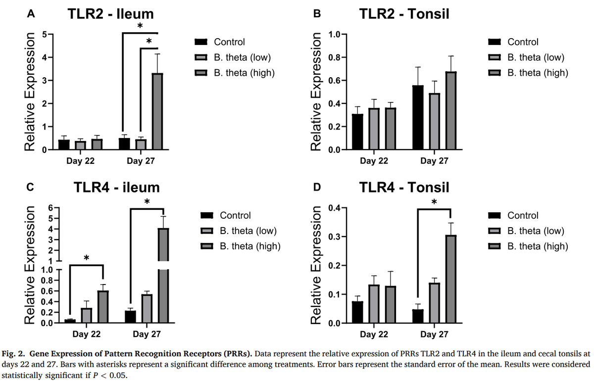 Modulation of gut immunity and microbiota by Bacteroides thetaiotaomicron confers dose-dependent protection against necrotic enteritis in broiler chickens - Image 3