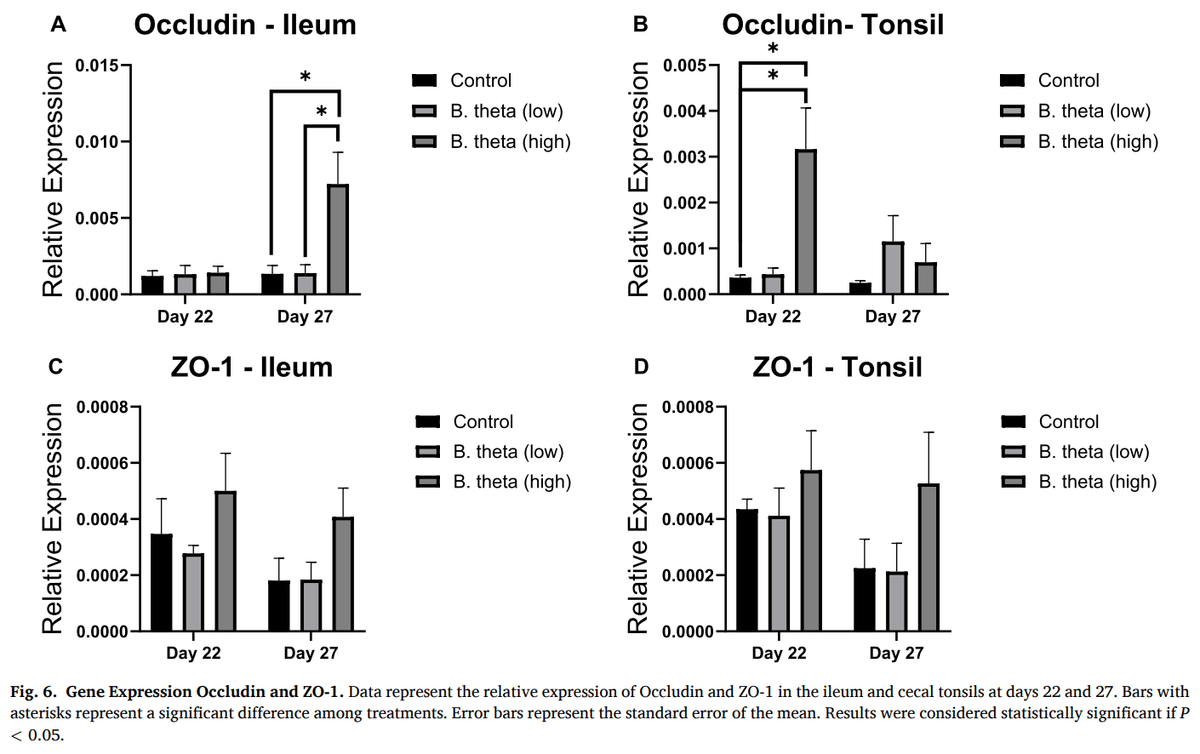 Modulation of gut immunity and microbiota by Bacteroides thetaiotaomicron confers dose-dependent protection against necrotic enteritis in broiler chickens - Image 11
