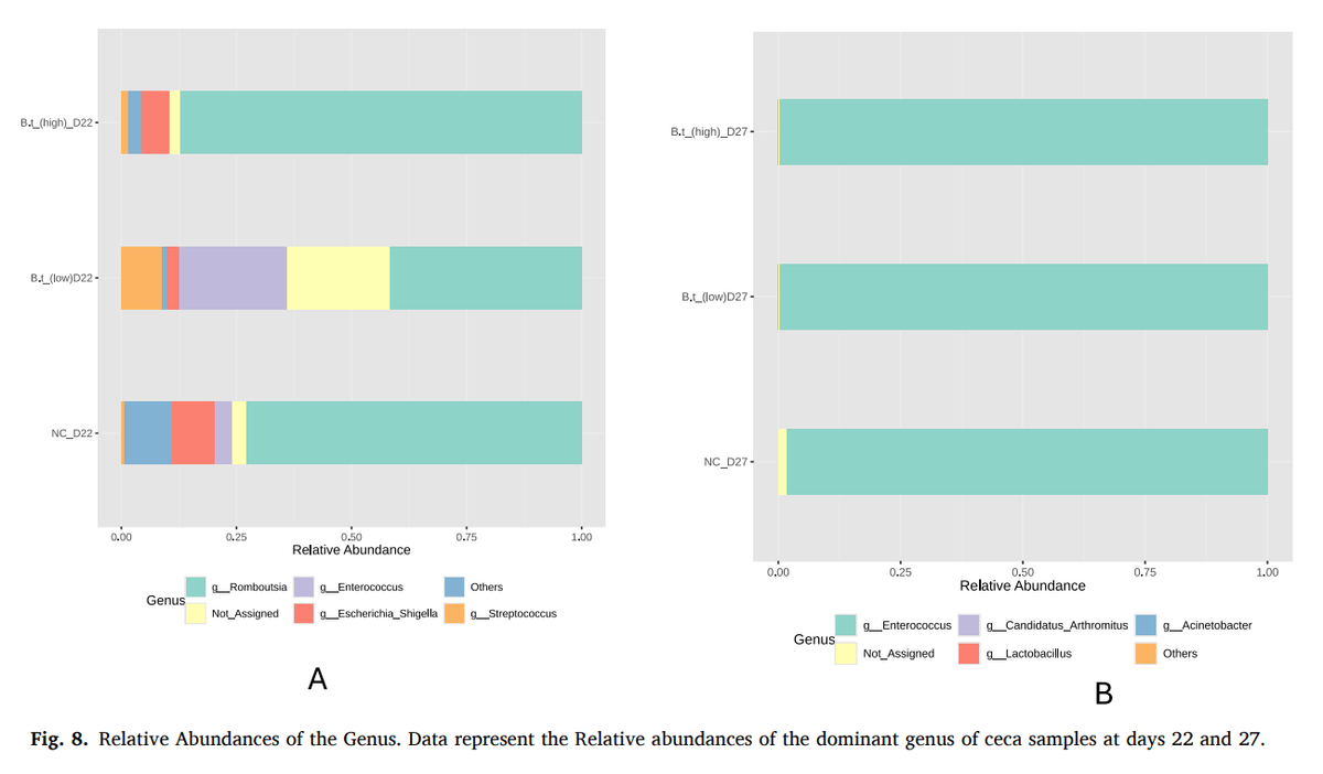 Modulation of gut immunity and microbiota by Bacteroides thetaiotaomicron confers dose-dependent protection against necrotic enteritis in broiler chickens - Image 15