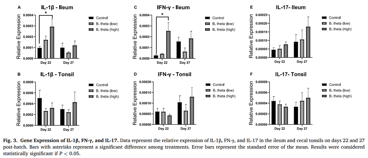 Modulation of gut immunity and microbiota by Bacteroides thetaiotaomicron confers dose-dependent protection against necrotic enteritis in broiler chickens - Image 5