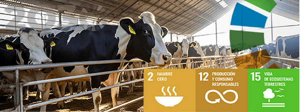 Blockchain and Artificial Intelligence in Livestock Product Traceability - Image 6