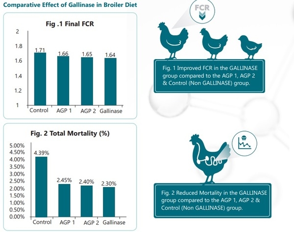 Novel Alternatives for Managing Antibiotic Resistance, Residues & Growth Promotion in Poultry - Image 5