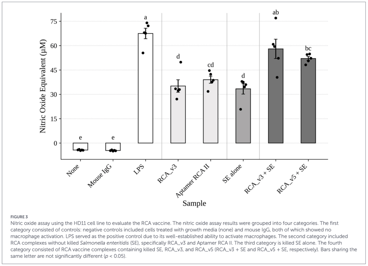 In vitro evaluation of CD40-targeting aptamer-based DNA vaccine adjuvants using HD11 cell culture - Image 7