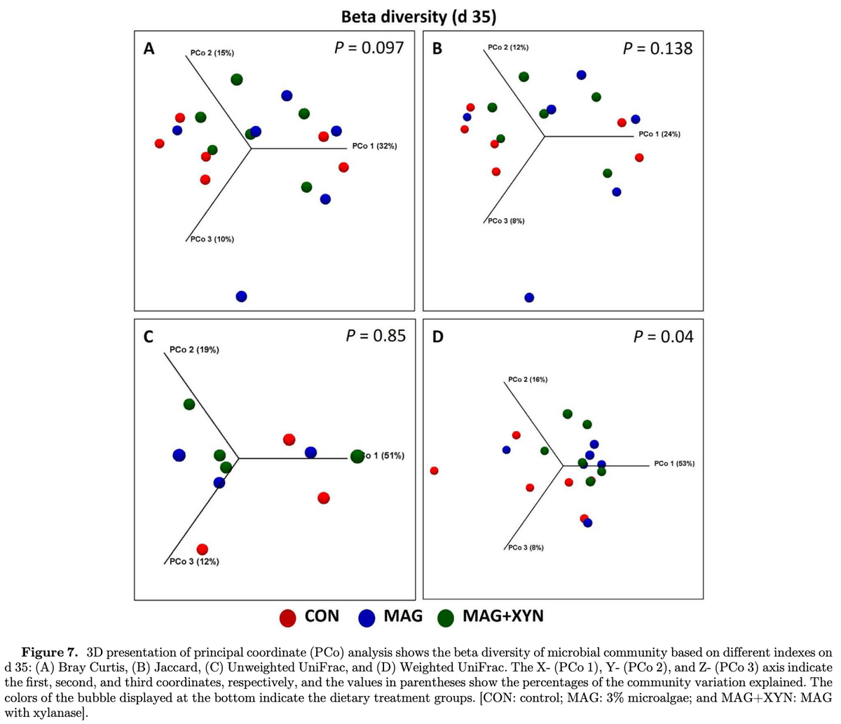 Effects of microalgae, with or without xylanase supplementation, on serum immunoglobulins, cecal short-chain fatty acids, microbial diversity, and metabolic pathways of broiler chickens - Image 11