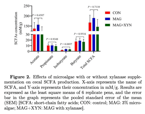 Effects of microalgae, with or without xylanase supplementation, on serum immunoglobulins, cecal short-chain fatty acids, microbial diversity, and metabolic pathways of broiler chickens - Image 2