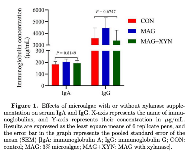 Effects of microalgae, with or without xylanase supplementation, on serum immunoglobulins, cecal short-chain fatty acids, microbial diversity, and metabolic pathways of broiler chickens - Image 1