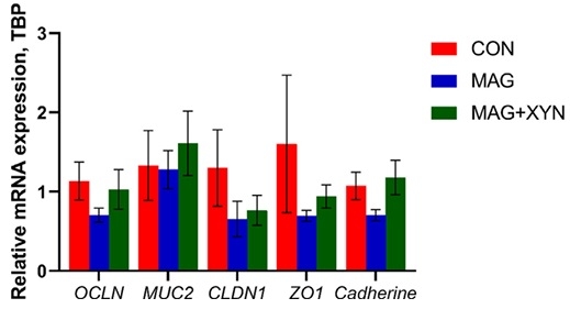 Effects of microalgae, with or without xylanase supplementation, on growth performance, organs development, and gut health parameters of broiler chickens - Image 10