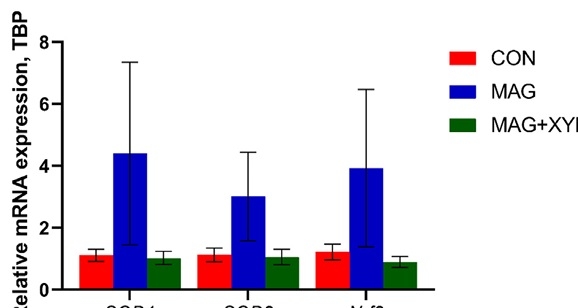 Effects of microalgae, with or without xylanase supplementation, on growth performance, organs development, and gut health parameters of broiler chickens - Image 16