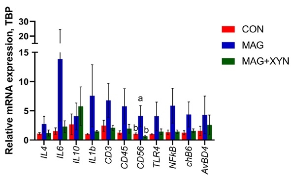 Effects of microalgae, with or without xylanase supplementation, on growth performance, organs development, and gut health parameters of broiler chickens - Image 15