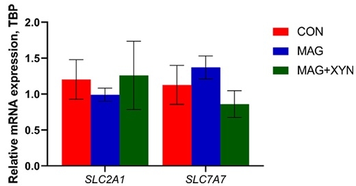 Effects of microalgae, with or without xylanase supplementation, on growth performance, organs development, and gut health parameters of broiler chickens - Image 13