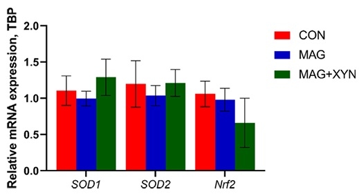 Effects of microalgae, with or without xylanase supplementation, on growth performance, organs development, and gut health parameters of broiler chickens - Image 12