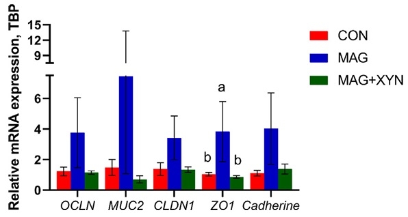 Effects of microalgae, with or without xylanase supplementation, on growth performance, organs development, and gut health parameters of broiler chickens - Image 14