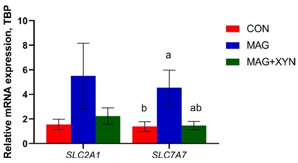 Effects of microalgae, with or without xylanase supplementation, on growth performance, organs development, and gut health parameters of broiler chickens - Image 17