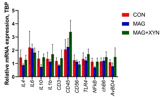 Effects of microalgae, with or without xylanase supplementation, on growth performance, organs development, and gut health parameters of broiler chickens - Image 11