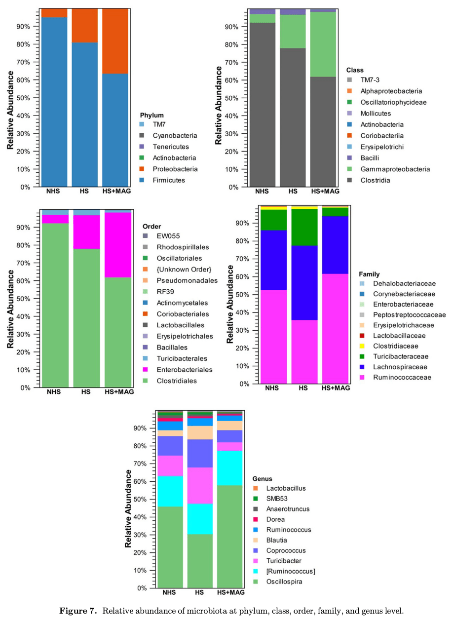 Dietary supplementation of microalgae mitigates the negative effects of heat stress in broilers - Image 15