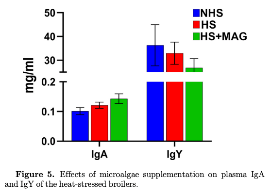 Dietary supplementation of microalgae mitigates the negative effects of heat stress in broilers - Image 11