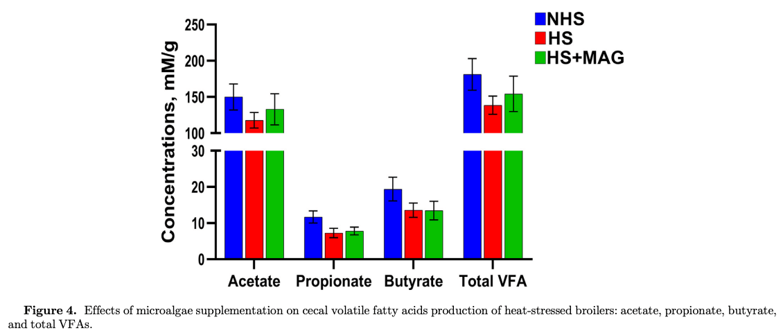 Dietary supplementation of microalgae mitigates the negative effects of heat stress in broilers - Image 9