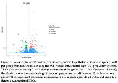 Figure 3. Volcano plot of differentially expressed genes in hypothalamic tissues samples (n = 3) per group from hens housed in cage-free (CF) versus conventional cage (CC) production systems. The X-axis shows the log 2 - fold change expression of the genes (log 2 - fold change < −1 or > 1); the Y-axis denotes the statistical significance of gene expression differences. Blue dots represent genes without significant differential expression, red dots indicate upregulated DEGs, and green dots denote downregulated DEGs.