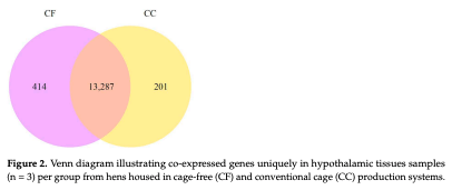 Figure 2. Venn diagram illustrating co-expressed genes uniquely in hypothalamic tissues samples (n = 3) per group from hens housed in cage-free (CF) and conventional cage (CC) production systems.