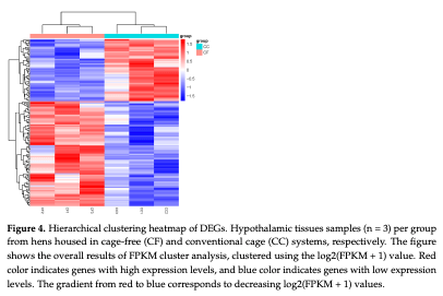 Figure 4. Hierarchical clustering heatmap of DEGs. Hypothalamic tissues samples (n = 3) per group from hens housed in cage-free (CF) and conventional cage (CC) systems, respectively. The figure shows the overall results of FPKM cluster analysis, clustered using the log2(FPKM + 1) value. Red color indicates genes with high expression levels, and blue color indicates genes with low expression levels. The gradient from red to blue corresponds to decreasing log2(FPKM + 1) values.