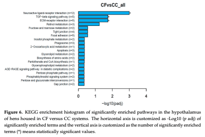 Figure 6. KEGG enrichment histogram of significantly enriched pathways in the hypothalamus of hens housed in CF versus CC systems. The horizontal axis is customized as -Log10 (p adj) of significantly enriched terms and the vertical axis is customized as the number of significantly enriched terms (*) means statistically significant values.