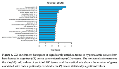 Figure 5. GO enrichment histogram of significantly enriched terms in hypothalamic tissues from hens housed in cage-free (CF) versus conventional cage (CC) systems. The horizontal axis represents the -Log10(p adj) values of enriched GO terms, and the vertical axis shows the number of genes associated with each significantly enriched term, (*) means statistically significant values.