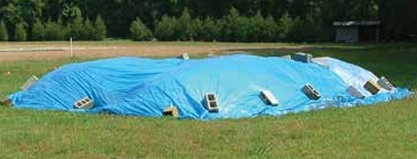 Poultry Waste Stockpiling Methods: Environmental Impacts and Their Mitigation - Image 1