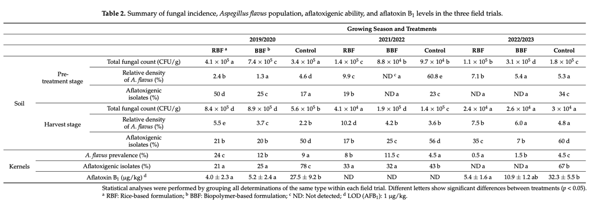 Reducing Aflatoxin Accumulation in Maize: Development and Performance of a Novel Biological Input - Image 3