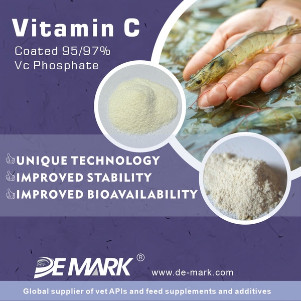 Vitamin and Amino Acid Market - Image 10