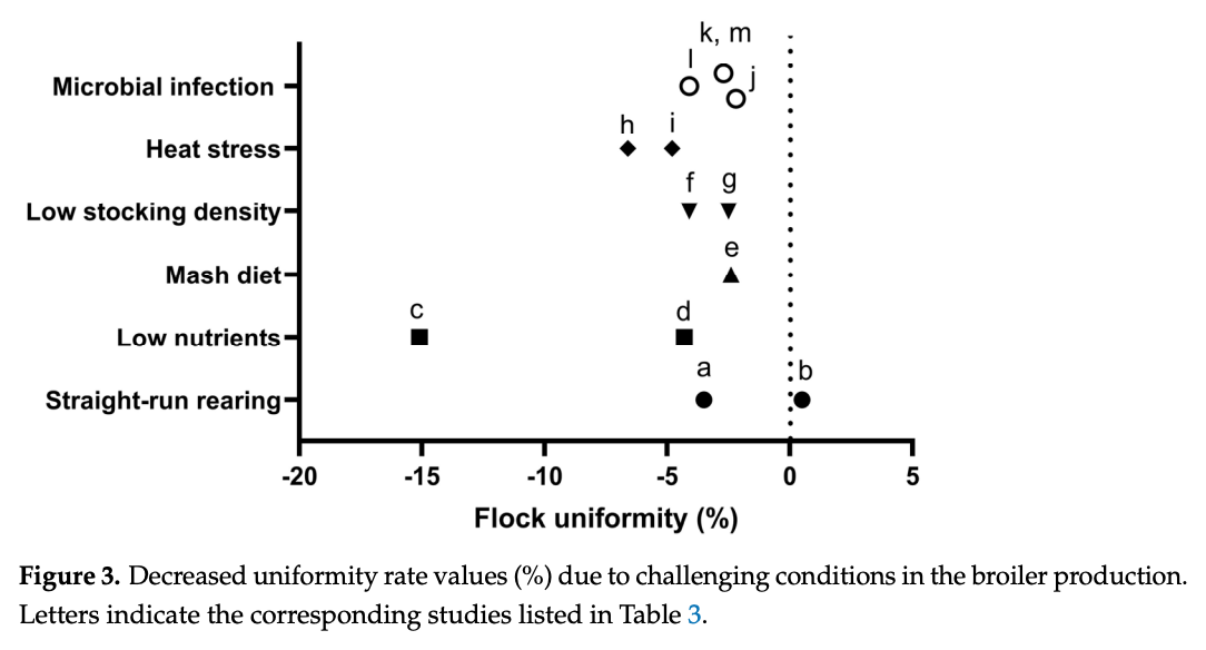 Factors Affecting Flock Uniformity in Broiler Production: Individual, Environmental, and Management Characteristics - Image 9