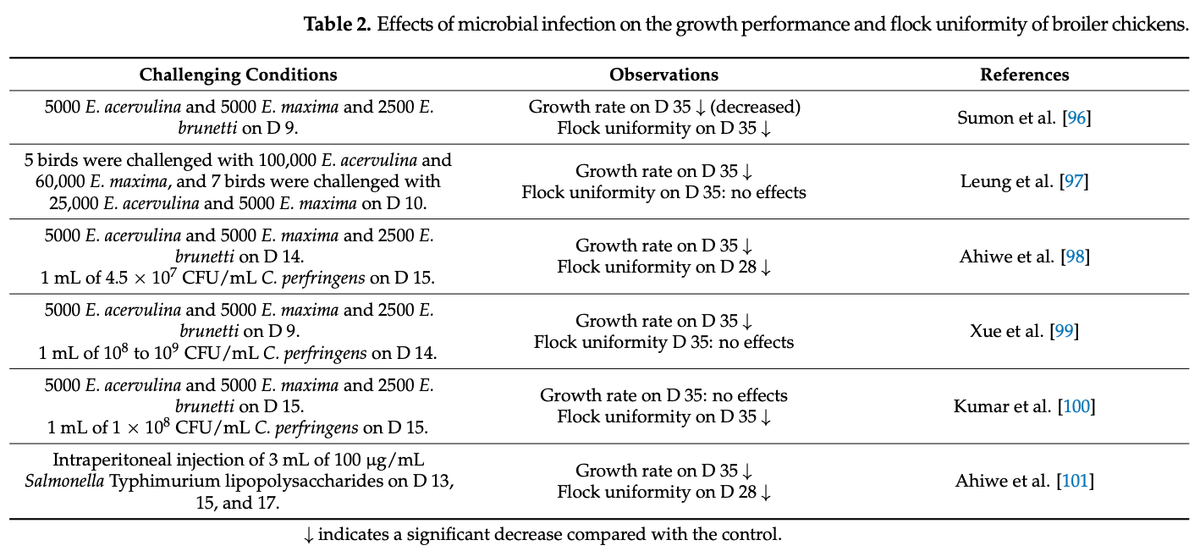 Factors Affecting Flock Uniformity in Broiler Production: Individual, Environmental, and Management Characteristics - Image 7