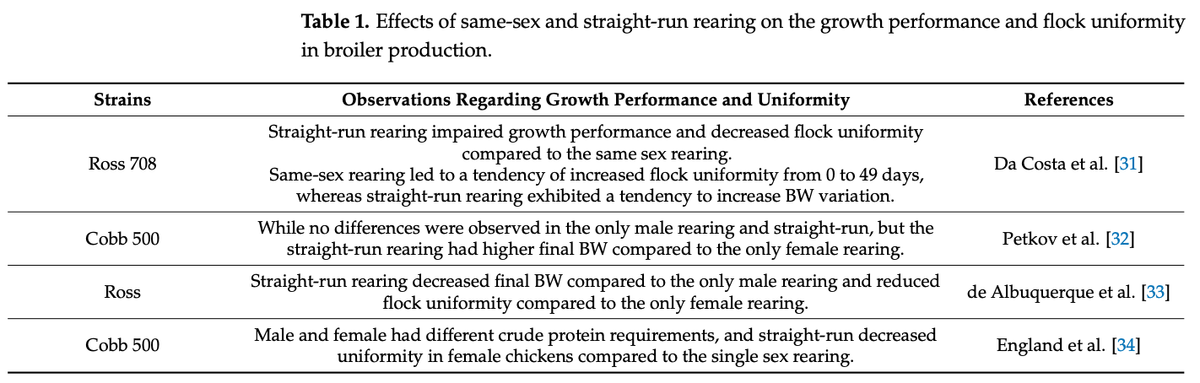 Factors Affecting Flock Uniformity in Broiler Production: Individual, Environmental, and Management Characteristics - Image 1