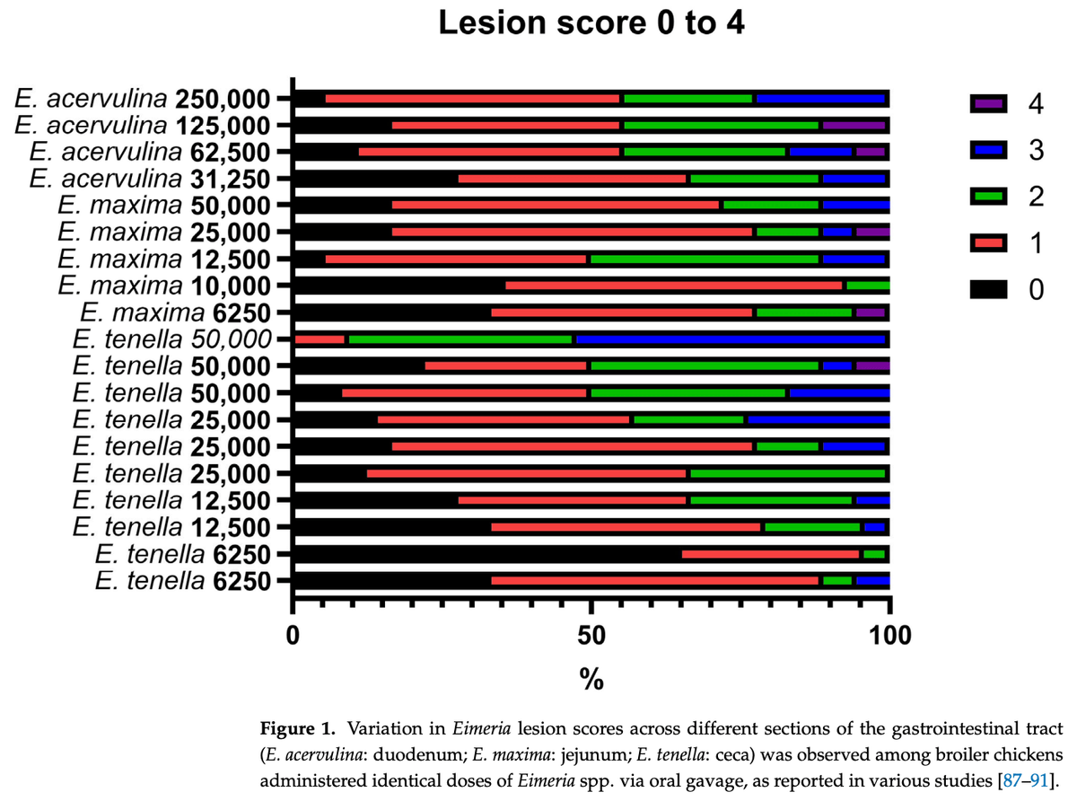 Factors Affecting Flock Uniformity in Broiler Production: Individual, Environmental, and Management Characteristics - Image 3