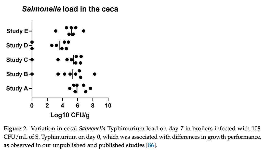 Factors Affecting Flock Uniformity in Broiler Production: Individual, Environmental, and Management Characteristics - Image 5