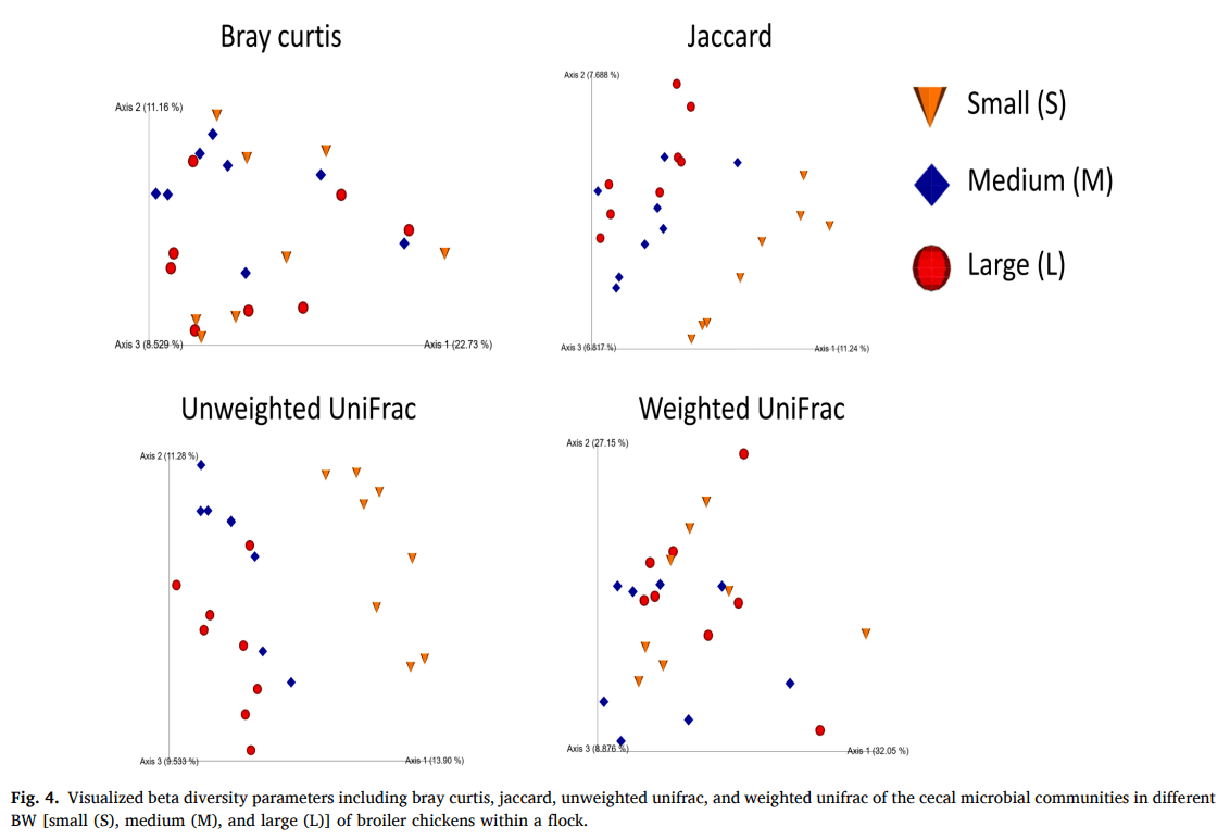 Appetite gene expression and gut microbiota in broiler chickens with varying body weights: a new perspective on flock uniformity - Image 7