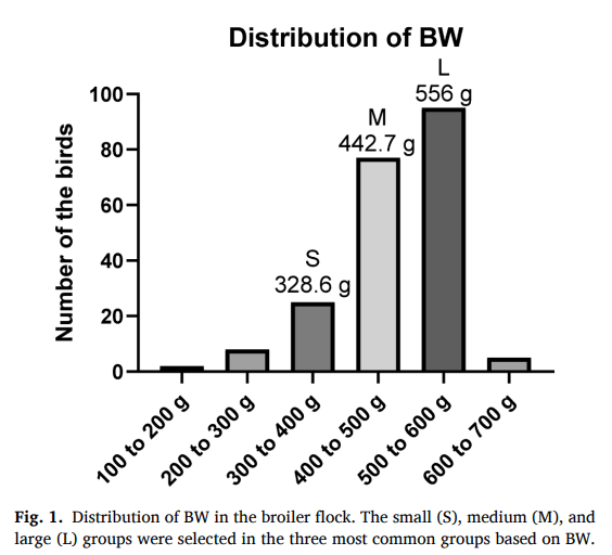 Fig. 1. Distribution of BW in the broiler flock. The small (S), medium (M), and large (L) groups were selected in the three most common groups based on BW.