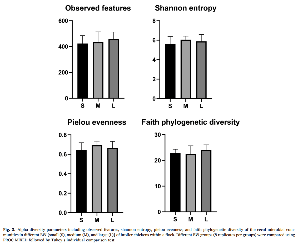 Appetite gene expression and gut microbiota in broiler chickens with varying body weights: a new perspective on flock uniformity - Image 5