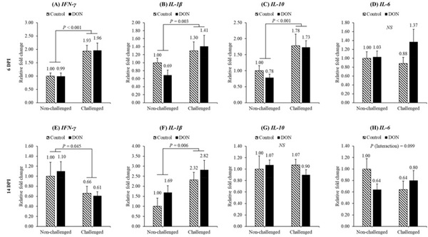 Interactive effects of the feed-borne mycotoxin deoxynivalenol and a mixed-species Eimeria challenge on layer pullets during the transition to lay - Image 17