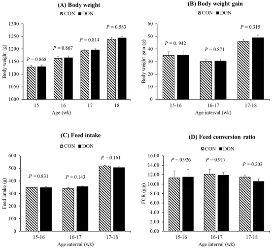 Interactive effects of the feed-borne mycotoxin deoxynivalenol and a mixed-species Eimeria challenge on layer pullets during the transition to lay - Image 4