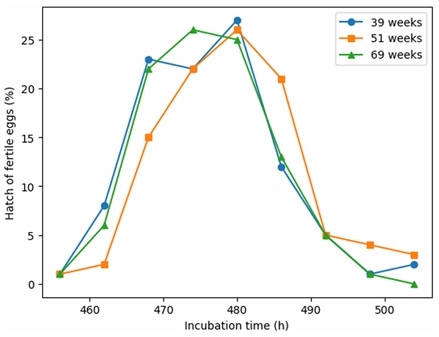 Effects of Broiler Breeder Age on Egg Quality, Incubation Performance, and Early Progeny Physiological and Muscle Fiber Development - Image 3