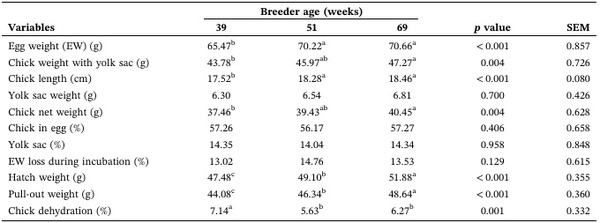Effects of Broiler Breeder Age on Egg Quality, Incubation Performance, and Early Progeny Physiological and Muscle Fiber Development - Image 4