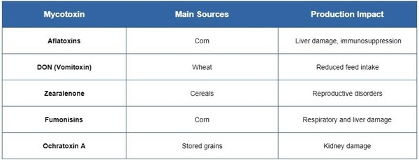 What Are Mycotoxins? The Silent Enemy of Livestock Profitability - Image 2