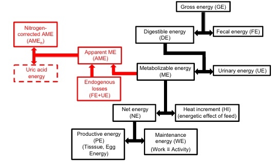 Measurement of the nutrient and energy contents of feedstuffs: is the adoption of the latest approaches to analysis overdue? - Image 2