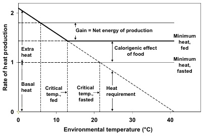 Measurement of the nutrient and energy contents of feedstuffs: is the adoption of the latest approaches to analysis overdue? - Image 3