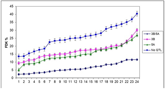 Updating the Breeding Philosophy of Wheat to Fusarium Head Blight (FHB): Resistance Components, QTL Identification, and Phenotyping—A Review - Image 3