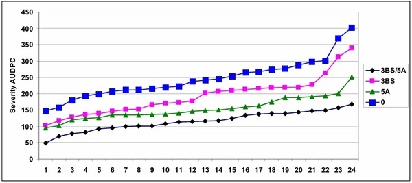 Updating the Breeding Philosophy of Wheat to Fusarium Head Blight (FHB): Resistance Components, QTL Identification, and Phenotyping—A Review - Image 2