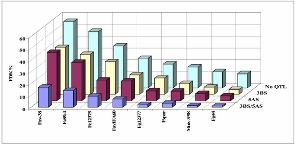 Updating the Breeding Philosophy of Wheat to Fusarium Head Blight (FHB): Resistance Components, QTL Identification, and Phenotyping—A Review - Image 6